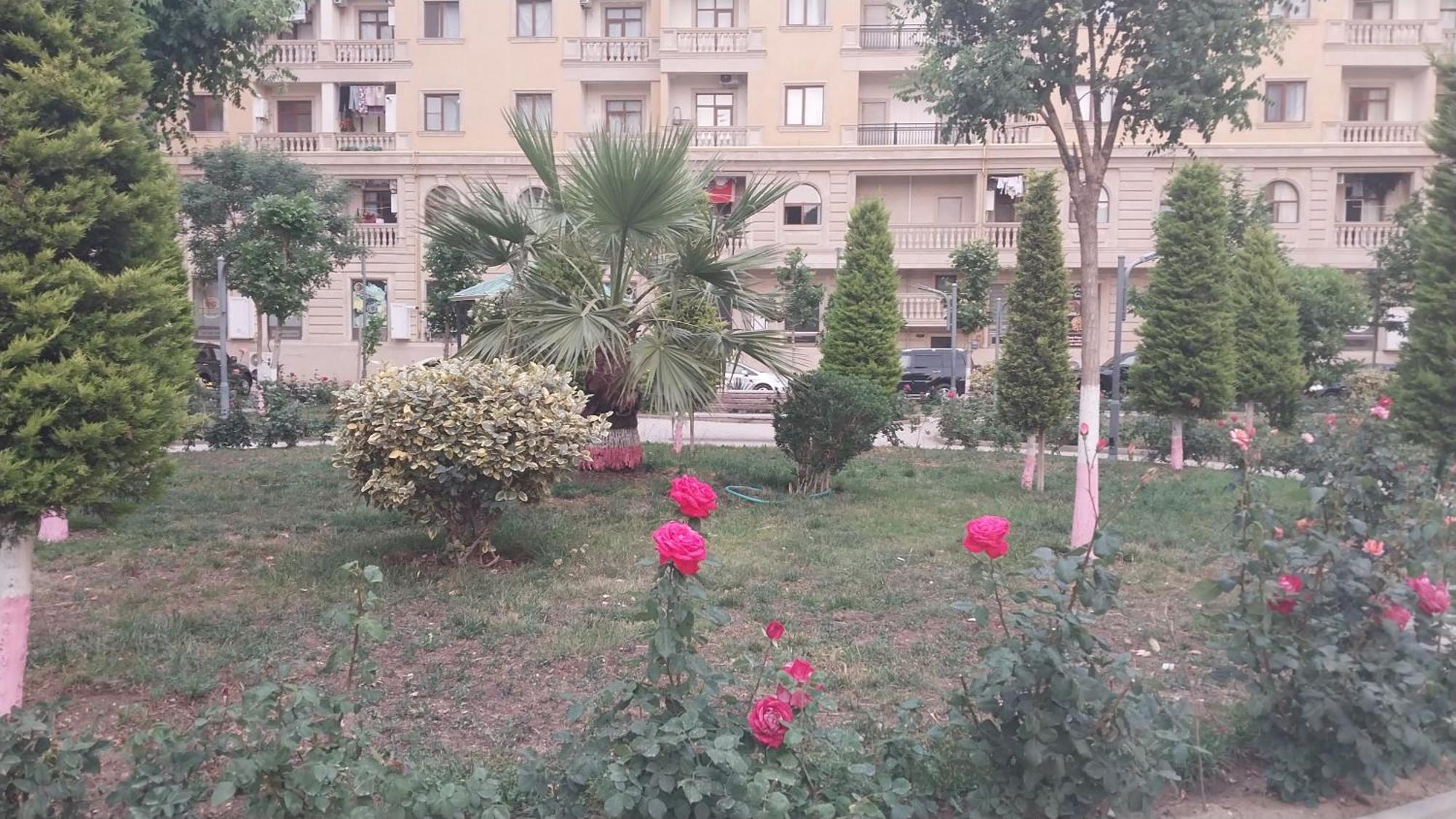 דירות Sumqayıt Banu House מראה חיצוני תמונה